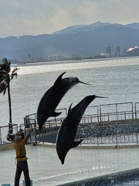 マリンワールド海の中道に投稿された画像（2026/1/11）