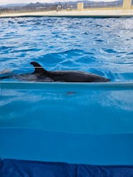 マリンワールド海の中道に投稿された画像（2026/1/11）