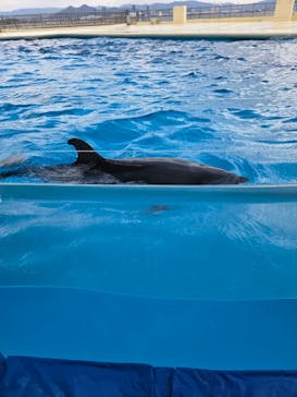 マリンワールド海の中道に投稿された画像（2026/1/11）