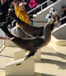 マリンワールド海の中道に投稿された画像（2026/1/11）