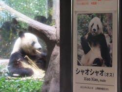 恩賜上野動物園に投稿された画像（2026/1/11）
