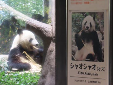 恩賜上野動物園に投稿された画像（2026/1/11）