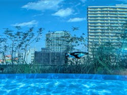 サンシャイン水族館に投稿された画像（2026/1/11）