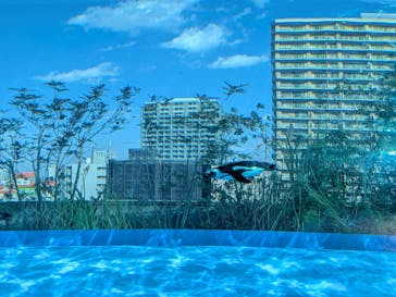 サンシャイン水族館に投稿された画像（2026/1/11）