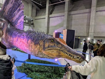 吠える！動く！恐竜ミュージアムに投稿された画像（2026/1/11）