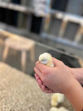 Moff アニマル カフェ イーアス 高尾店に投稿された画像（2026/1/11）