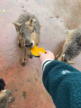 長崎バイオパークに投稿された画像（2026/1/11）