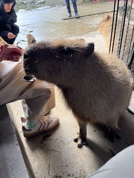 長崎バイオパークに投稿された画像（2026/1/11）