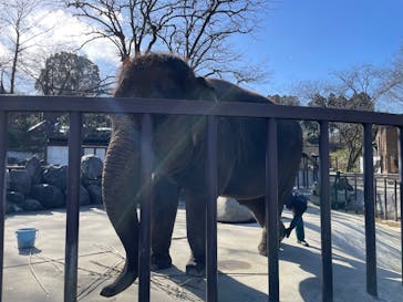 ANIMAL WONDER REZOURT 市原ぞうの国・サユリワールドに投稿された画像（2026/1/11）