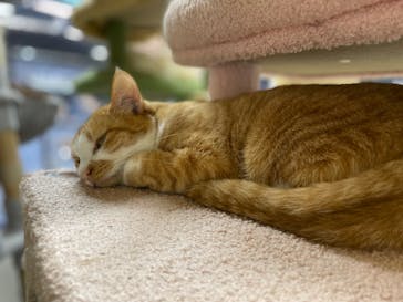 ANIMAL WONDER REZOURT 市原ぞうの国・サユリワールドに投稿された画像（2026/1/11）