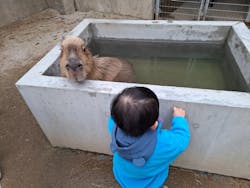 霞ケ浦 どうぶつとみんなのいえに投稿された画像（2026/1/11）