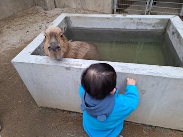 霞ケ浦 どうぶつとみんなのいえに投稿された画像（2026/1/11）