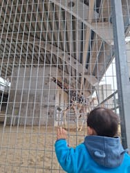 霞ケ浦 どうぶつとみんなのいえに投稿された画像（2026/1/11）