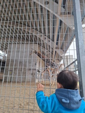 霞ケ浦 どうぶつとみんなのいえに投稿された画像（2026/1/11）