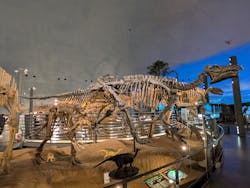 福井県立恐竜博物館に投稿された画像（2026/1/11）