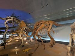 福井県立恐竜博物館に投稿された画像（2026/1/11）
