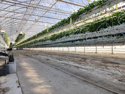 井上寅雄農園に投稿された画像（2026/1/11）