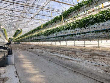 井上寅雄農園に投稿された画像（2026/1/11）