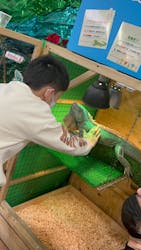 いきもの探検隊上尾に投稿された画像（2026/1/11）