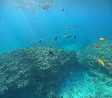 アイナ石垣島に投稿された画像（2026/1/11）