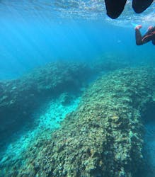 アイナ石垣島に投稿された画像（2026/1/11）