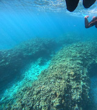 アイナ石垣島に投稿された画像（2026/1/11）