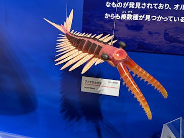 特別展「大絶滅展―生命史のビッグファイブ」に投稿された画像（2026/1/11）