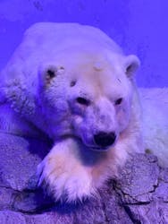 横浜・八景島シーパラダイス　プレジャーランドに投稿された画像（2026/1/11）