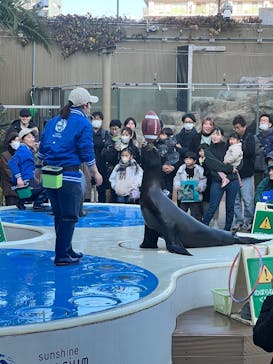 サンシャイン水族館に投稿された画像（2026/1/11）