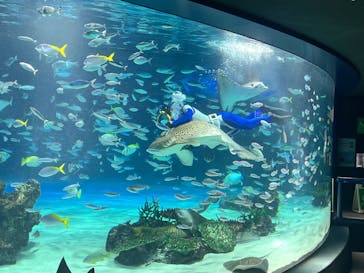 サンシャイン水族館に投稿された画像（2026/1/11）