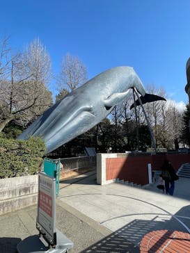 特別展「大絶滅展―生命史のビッグファイブ」に投稿された画像（2026/1/11）