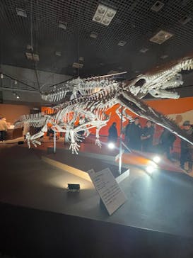 特別展「大絶滅展―生命史のビッグファイブ」に投稿された画像（2026/1/11）