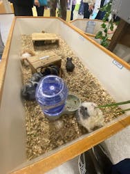 アニタッチ 東京ドームシティに投稿された画像（2026/1/11）