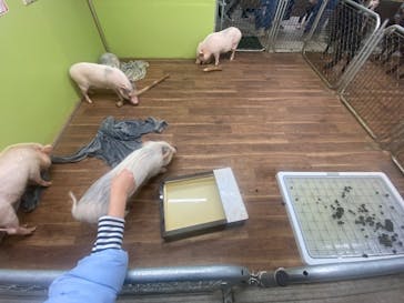 アニタッチ 東京ドームシティに投稿された画像（2026/1/11）