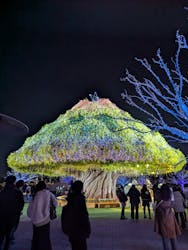 東京メガイルミに投稿された画像（2026/1/11）