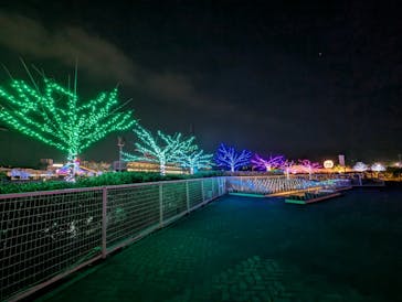 東京メガイルミに投稿された画像（2026/1/11）