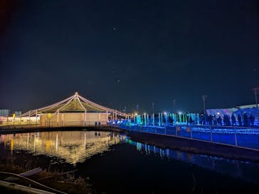 東京メガイルミに投稿された画像（2026/1/11）