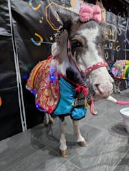 東京メガイルミに投稿された画像（2026/1/11）