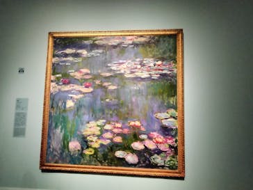 ワーナー ブラザース スタジオツアー東京 - メイキング・オブ・ハリー・ポッターに投稿された画像（2026/1/11）