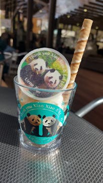 恩賜上野動物園に投稿された画像（2026/1/11）