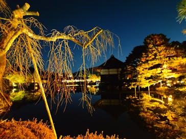 NAKEDヨルマイリ 2025-26 平安神宮に投稿された画像（2026/1/11）