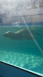 竹島水族館に投稿された画像（2026/1/11）