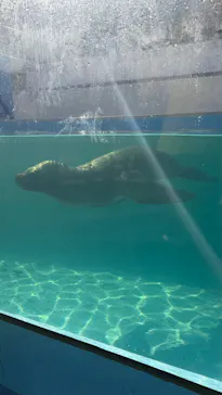 竹島水族館に投稿された画像（2026/1/11）