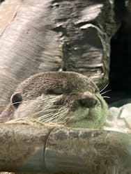 竹島水族館に投稿された画像（2026/1/11）