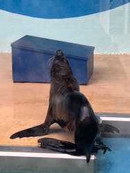 竹島水族館に投稿された画像（2026/1/11）