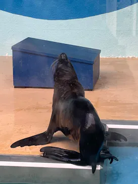 竹島水族館に投稿された画像（2026/1/11）