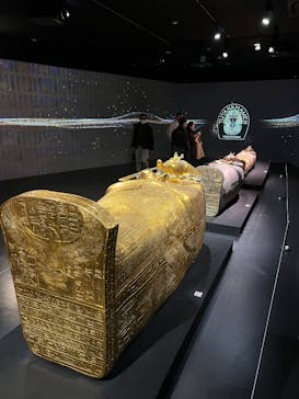 MYSTERY OF TUTANKHAMEN 体感型古代エジプト展に投稿された画像（2026/1/11）