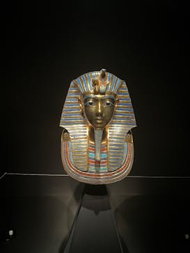 MYSTERY OF TUTANKHAMEN 体感型古代エジプト展に投稿された画像（2026/1/11）