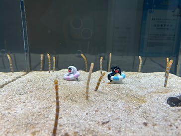 AOAO SAPPOROに投稿された画像（2026/1/11）