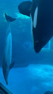名古屋港水族館に投稿された画像（2026/1/11）